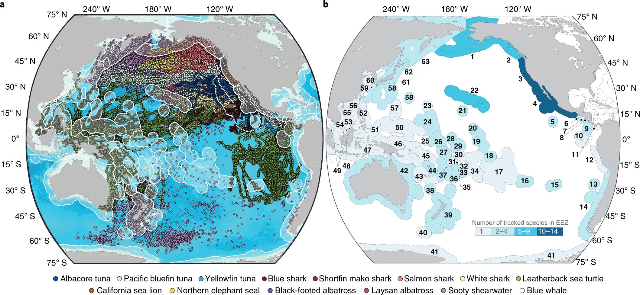 Economic Zones Pacific. EEZ. North Pacific Marine Science Organization. Kinetics Rhino Seal Shark. The country across the ocean контрольная