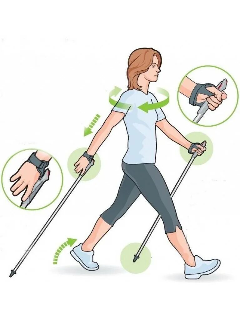 Скандинавская ходьба с палками техника ходьбы. Занятия скандинавской ходьбой. Техника скандинавской ходьбы для начинающих с палками для похудения. Скандинавская ходьба с палками техника ходьбы для начинающих. Финская ходьба с палками техника.