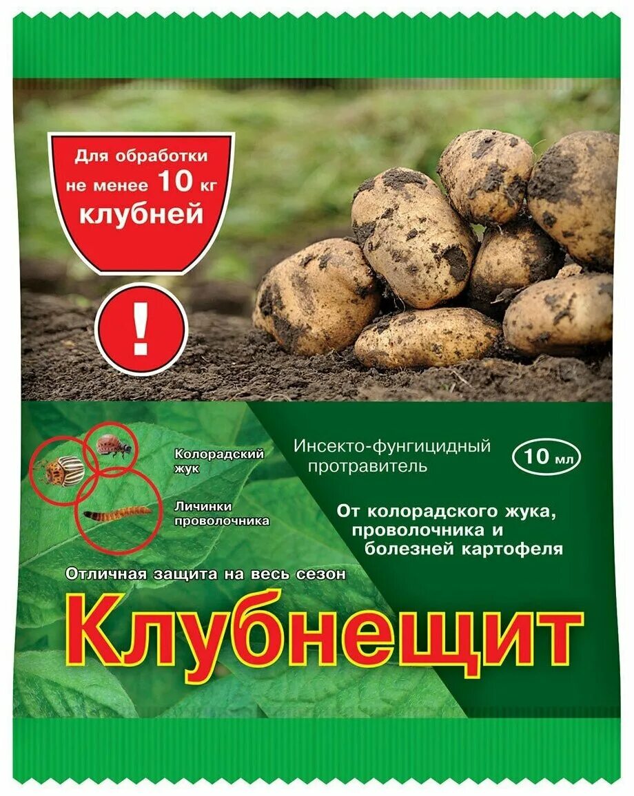 препарат клубнещит для картофеля. голландский сорт картофеля ред скарлет. обработка клубней картофеля. командор 2 * 25мл грин бэлт. командор грин бэлт 10 мл.