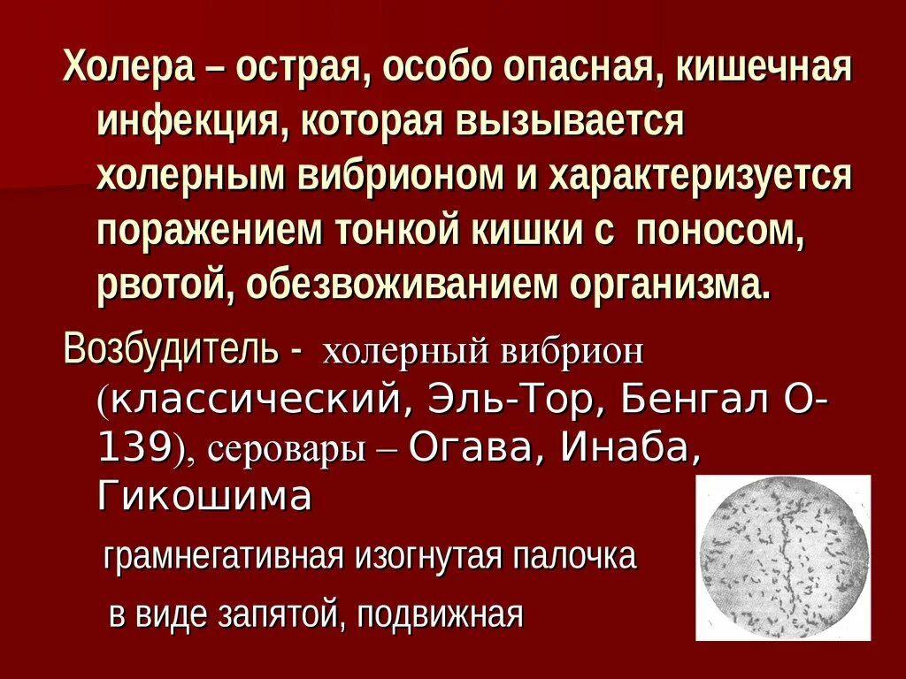 Специфическая профилактика холеры. Особо опасные инфекции холера. Острые опасные инфекции. Особо опасные инфекции ООИ.