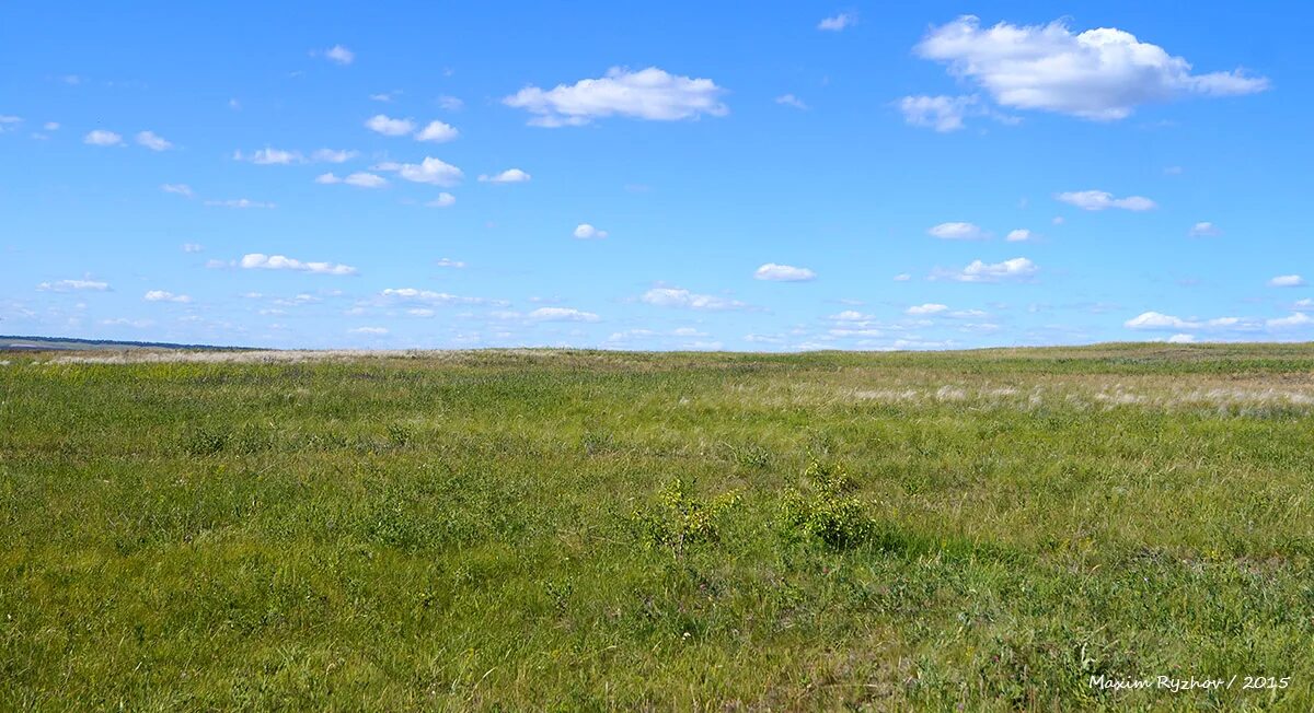 Оренбургские степи орск. Тундра степь лесостепь. Саратовская область! степь заволжская!???. Дерновинные степи кыргызстана. Гора бударка ставрополь.