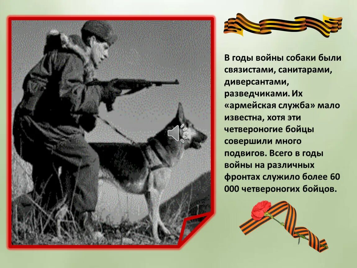 Верная отвага. Собаки герои Великой Отечественной войны 1941-1945. Собаки которые участвовали в Великой Отечественной войне 1941. Собаки герои в годы ВОВ. Собаки герои Великой Отечественной войны Мухтар.