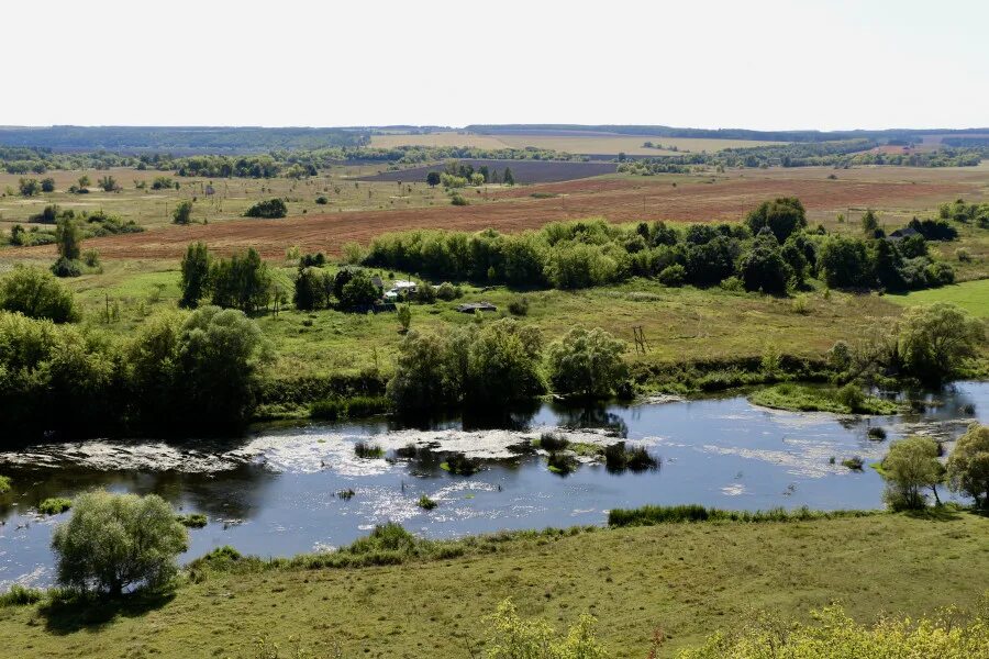 Самое в орловской области