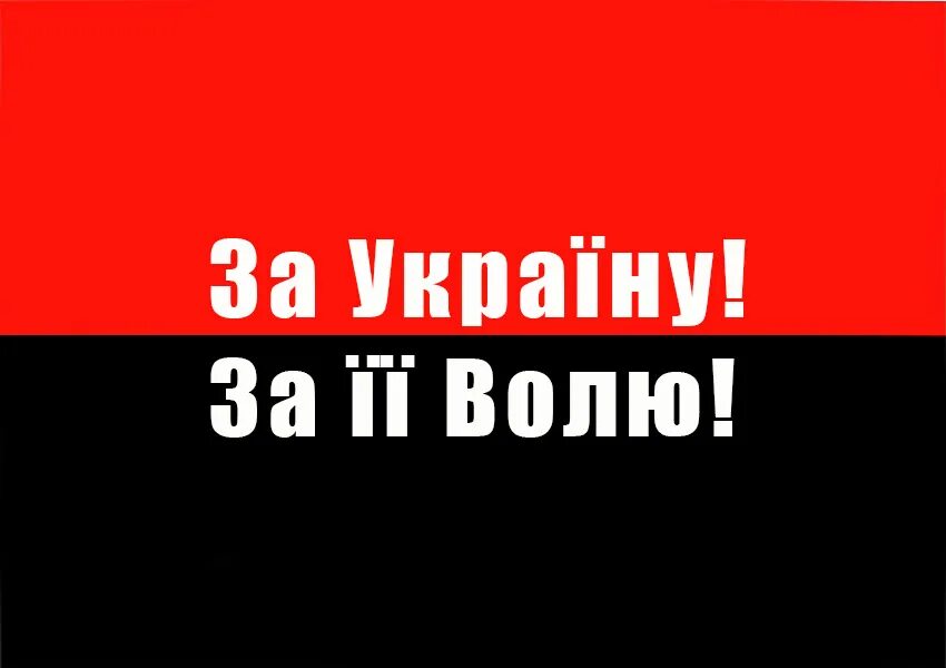 Слово воля в гербе украины. Футболка сила воли. Воля або смерть. Воля україні або смерть. Воля украины або смерть флаг.