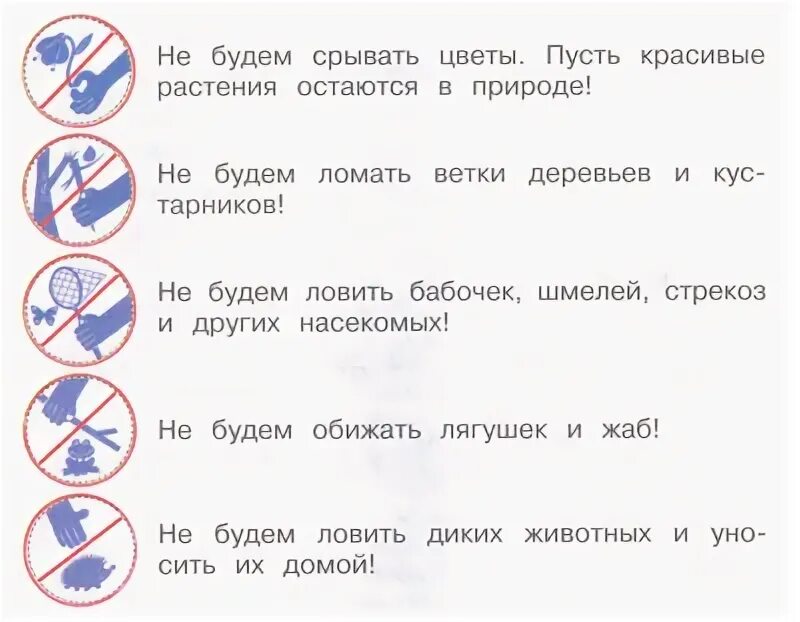 Правила поведения условные знаки. Знаки друзей природы. Правила друзей природы 2 класс знаки. Правила друзей природы 2 класс. Сформулируйте правила к условным знакам