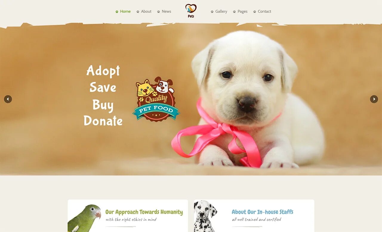 Pet website. Питомец. Бест оф петс. Pet картинки для описания. My best pet