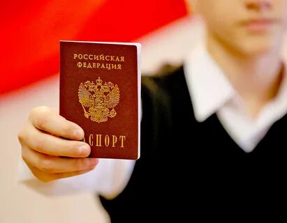Получить гражданство краснодар