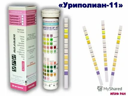 Бесплатные тест полоски
