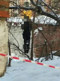 Нашли повешанным