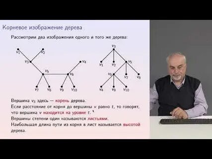 Вершина корень