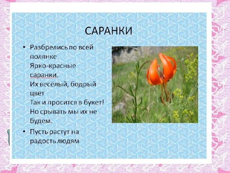 стихи забайкальских поэтов. стихи о природе забайкалья. стихи про забайкальский край детям. стихи забайкальских поэтов для детей. стихи о забайкалье для детей.