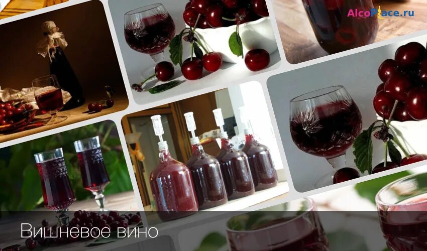 Вино на вишневых листьях. Вкусное вишневое вино. вкусное вино из вишни домашнее. вино вишня. вишневое вино cherry.
