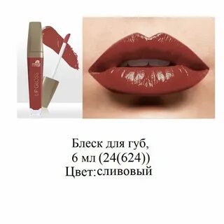 Губ 6