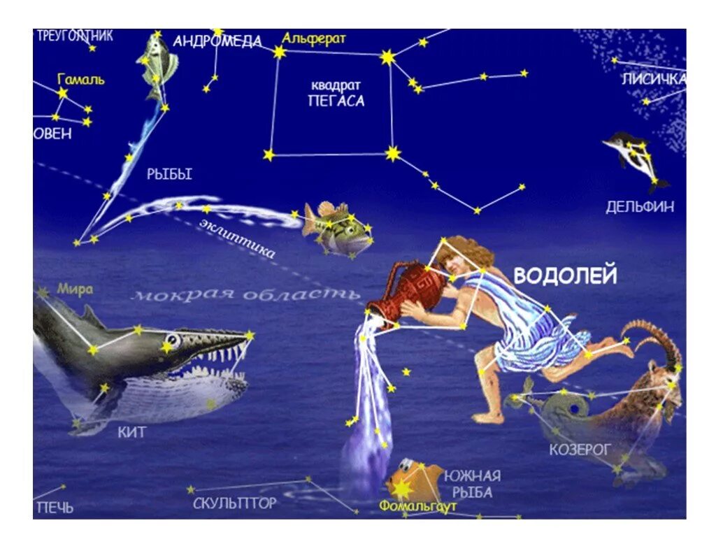 Знак зодиака кит. Созвездие Водолей. Изображение созвездия Водолея. Созвездия для дошкольников рыбы. Картина зодиакального созвездия Водолея.
