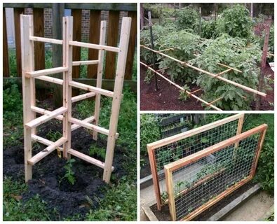 Plant supports