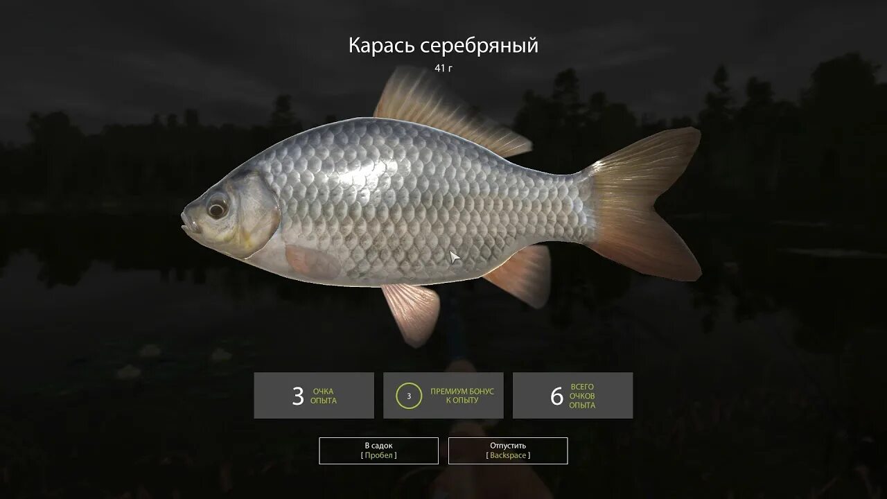 Плотва комариное рр4. Трофейный ротан рр4. серебряный карась трофей.