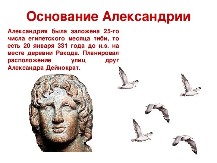 В александрии египетской 5 класс презентация фгос. Александрия Египетская 5 класс. Музей в Александрии египетской 5 класс. Основание Александрии египетской 5 класс кратко. План Александрии 5 класс.