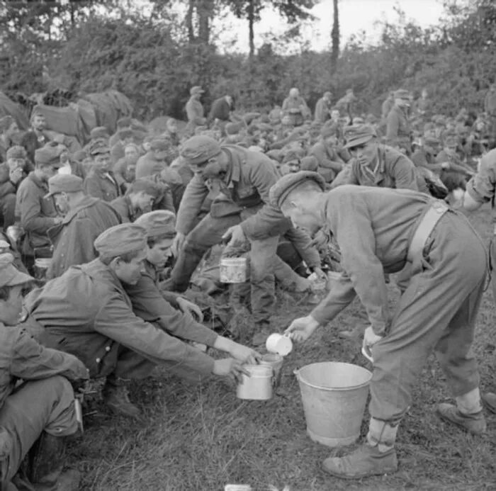 Операция Маркет Гарден 1944 пленные немцы. Немецкий солдат второй мировой войны 1944. Пленные англичане во второй мировой. Жизнь в состоянии войны