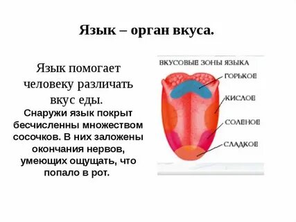 Защита языка