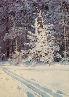 З декабря