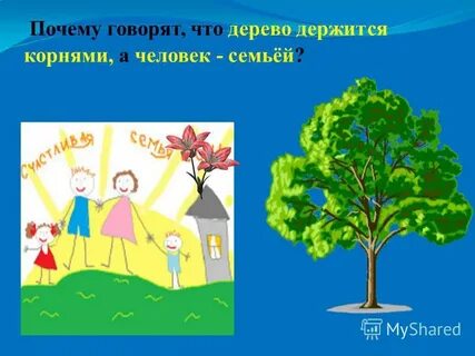 Дерево держится корнями а человек семьей