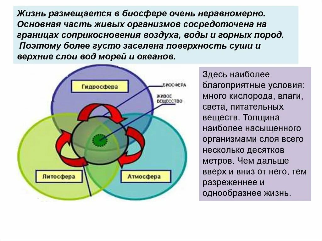 Биосфера презентация география. Биосфера 6 класс география презентация. Размещение живых организмов на земле. Распределение организмов на земле. Распространение людей на земле 6 класс география