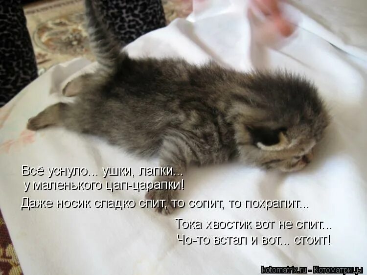 Открытки пришла с работы. После работы никакая. Отдыхай после трудового дня. В детстве я завидовал взрослым. После работы никакая.