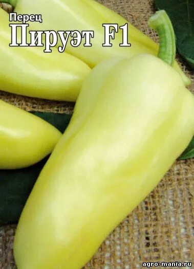 Сорт помидор бычье сердце. Перец пируэт. Перец пируэт. Перец бест f1. Перец сибирский пируэт.