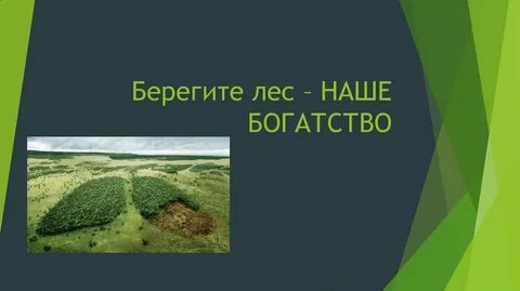Берегите лес 2 класс
