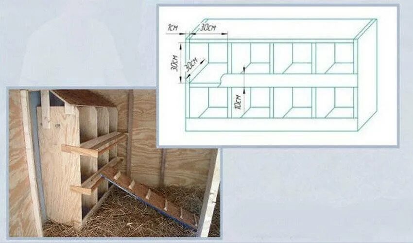 Размер гнезда для несушек курей. Размеры гнезда для кур несушек с яйцесборником. Гнездо для кур с яйцесборником Размеры. Размер гнезда для кур несушек.