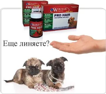Запор у щенка