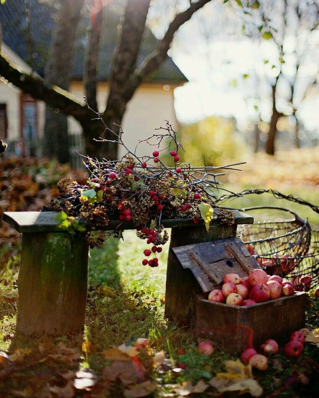 Раннее утро в саду. Anca bulgaru румынская художница. Утро в деревне. Уютный столик в саду. Веранда в осеннем саду.