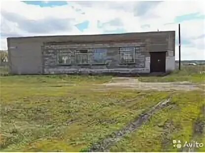 Рогозиха алтайский край