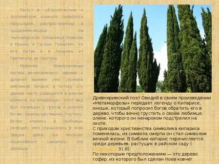 Почему природа субтропиков изменена человеком