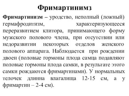 Почему гермафродитизм не получил широкого распространения