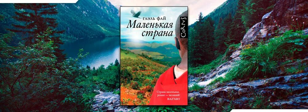 Маленькая страна книга