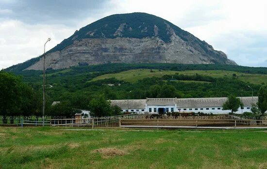 администрации поселка терек ставропольский край. терконзавод минеральные воды. стародубское (ставропольский край). посёлок терский ставропольский край буденновский район. терский конный завод минеральные воды.