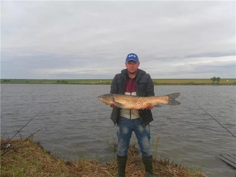 Судосево мордовия рыбалка. Саранск рыбалка. Платная рыбалка саранск. Рыбалка на суре в мордовии. Солдатский пруд мордовия.