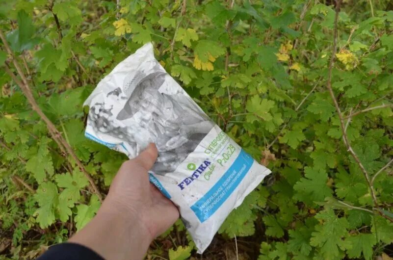Вытяжка из суперфосфата для подкормки. Вытяжка из суперфосфата для томатов. передозировка суперфосфата для помидор. передозировка суперфосфатом у растений. вытяжка из суперфосфата как приготовить и как использовать.