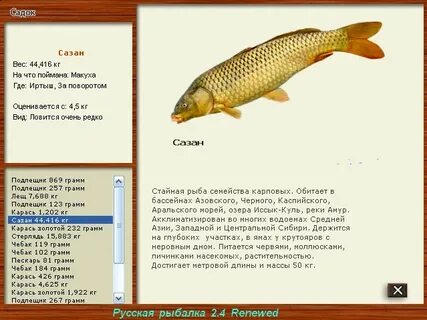 Разрешенный размер сазана