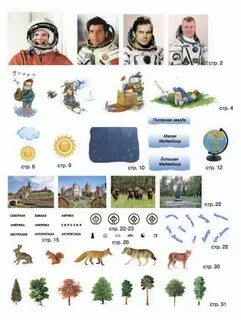Мир вокруг рабочая тетрадь