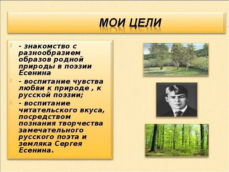 Поэта земляка о природе. Есенин любовь к родному краю. Есенин стихотворения о любви к природе. Любовь к природе в творчестве Есенина.