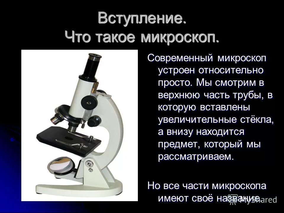 Анализ произведения микроскоп. Цифровой микроскоп биология 5 класс. Информация о микроскопе. Сообщение о микроскопе. Доклад по биологии про микроскоп.