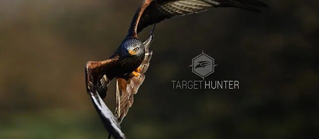 Академия таргет хантер. Таргет хантер. Ру. Таргет хантер картинкам. Таргет хантер парсер.