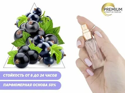 Смородина 6