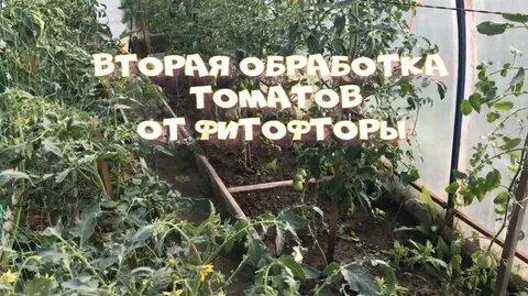 Вторая обработка