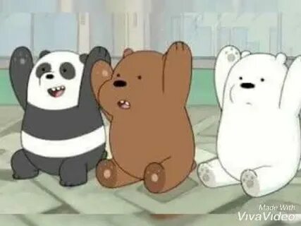We bear bears english