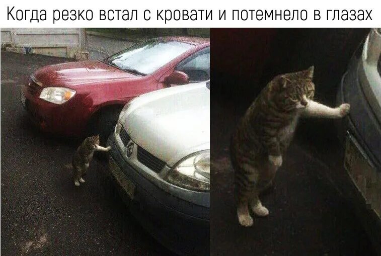 Как называется когда резко встал. Резко встал с кровати. встал и потемнело в глазах. встал с унитаза в глазах потемнело мем. когда резко встал.