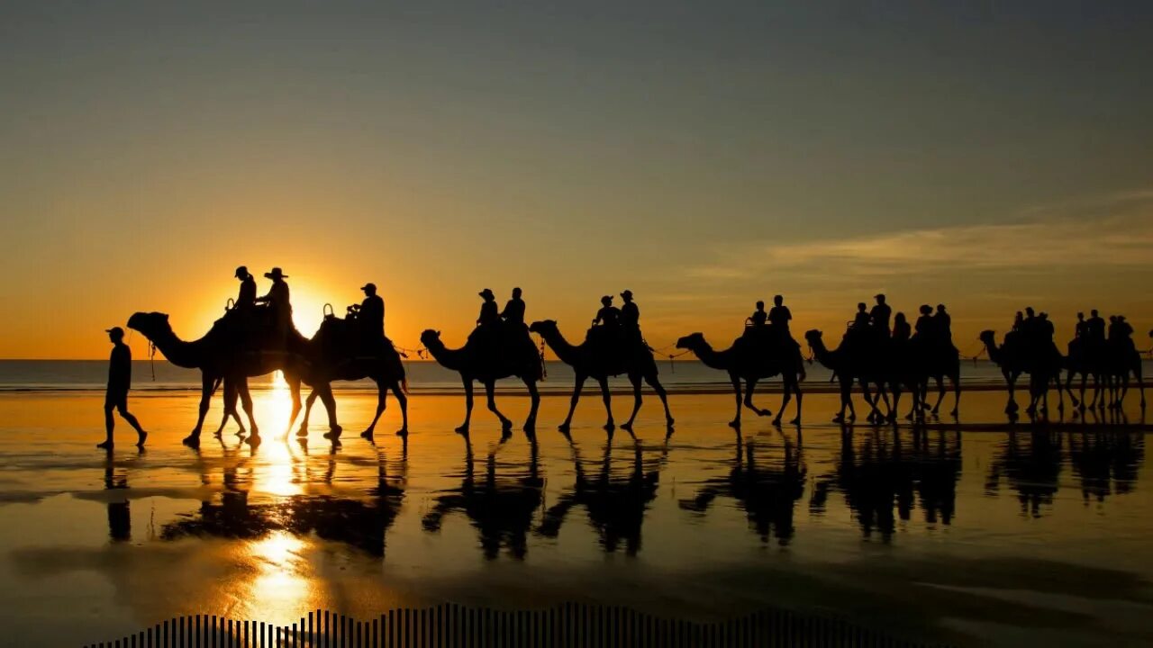 Самый караван. Египет Караван. Верблюд в пустыне. Караван верблюдов. Караван в пустыне.
