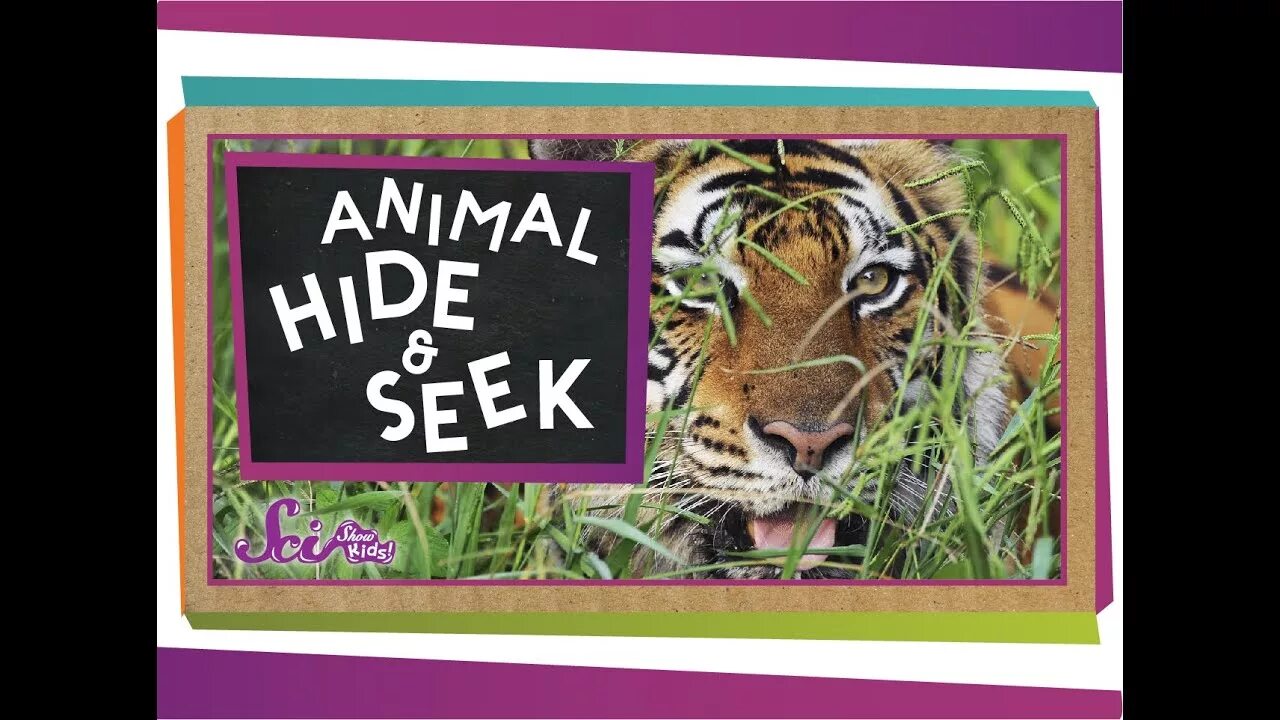 Animals hide. R. Animal hiding sentences. V rising how to get into cave. Wolves worksheets.